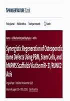 Synergistic Regeneration of Osteoporotic Bone Defects Using PBM Stem Cells and hMPMS Scaffolds Via the miR 21 RUNX2 Axis