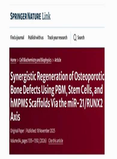Synergistic Regeneration of Osteoporotic Bone Defects Using PBM Stem Cells and hMPMS Scaffolds Via the miR 21 RUNX2 Axis